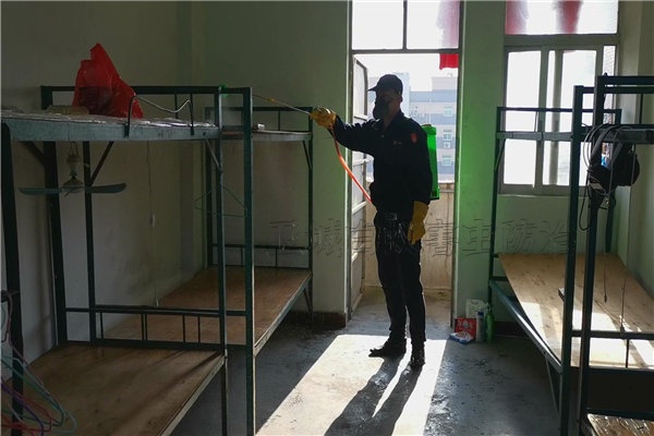 惠州惠城馬安殺臭蟲公司-惠州水口臭蟲防治滅蟑螂瀝林龍豐蘆洲滅白蟻除蟲滅鼠